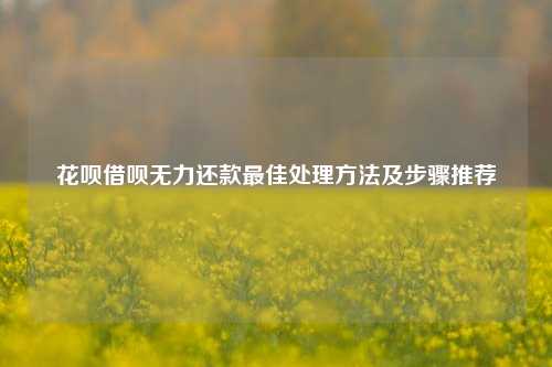 花呗借呗无力还款最佳处理方法及步骤推荐