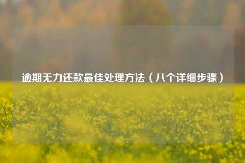 逾期无力还款最佳处理方法（八个详细步骤）