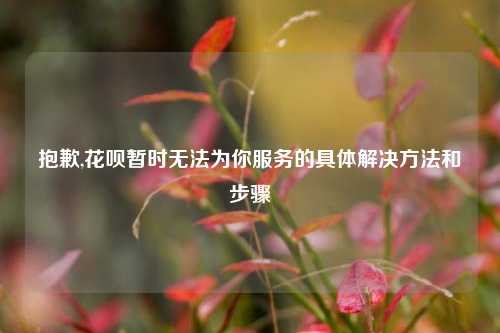 抱歉,花呗暂时无法为你服务的具体解决方法和步骤