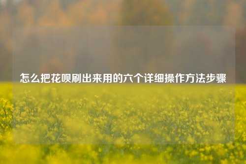 怎么把花呗刷出来用的六个详细操作方法步骤