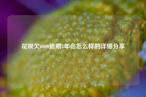 花呗欠6000逾期3年会怎么样的详细分享