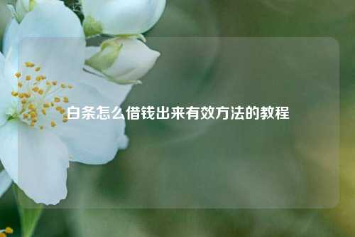 白条怎么借钱出来有效方法的教程