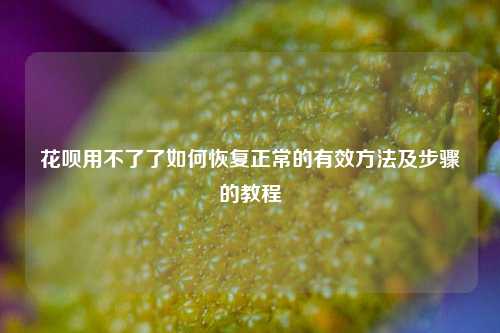 花呗用不了了如何恢复正常的有效方法及步骤的教程