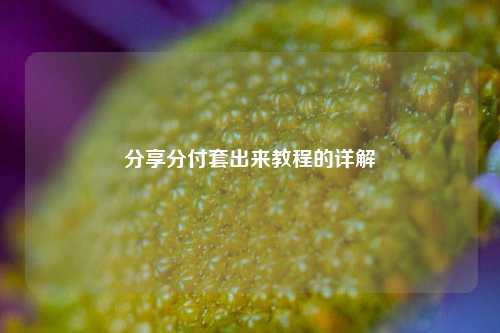 分享分付套出来教程的详解