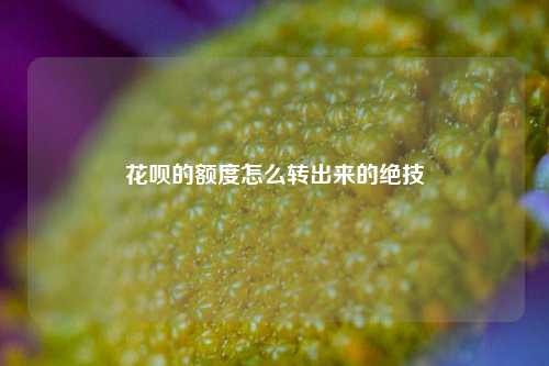 花呗的额度怎么转出来的绝技