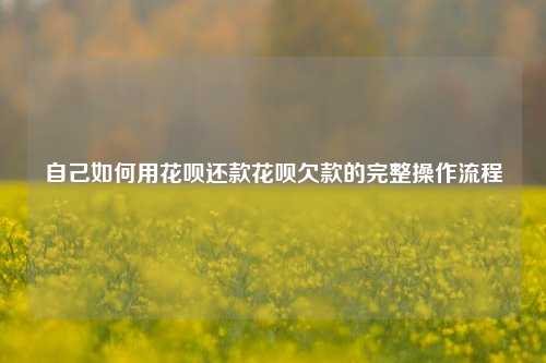 自己如何用花呗还款花呗欠款的完整操作流程
