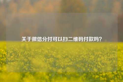 关于微信分付可以扫二维码付款吗？