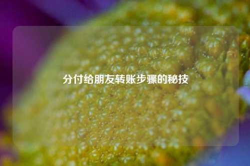 分付给朋友转账步骤的秘技