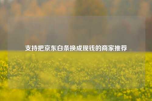 支持把京东白条换成现钱的商家推荐