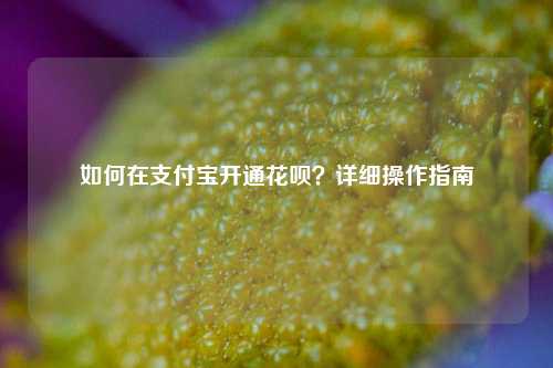 如何在支付宝开通花呗？详细操作指南