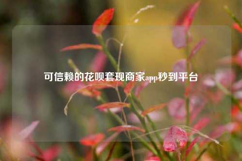 可信赖的花呗套现商家app秒到平台