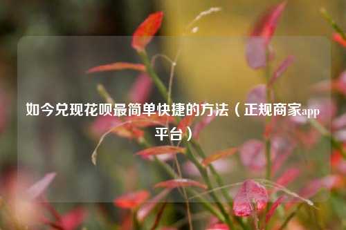 如今兑现花呗最简单快捷的方法（正规商家app平台）