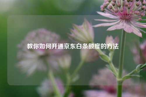 教你如何开通京东白条额度的方法